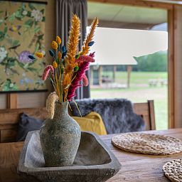 Verblijf 522440 - Vakantiewoning Twente - Luxe lodge incl oven