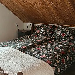 Guest house 522449 - Holiday property Twente - Spekenbrink-Haaksbergen
