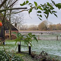 Unterkunft 522520 - Ferienhaus Twente - Huisje in Diepenheim