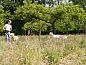 Guest house 522621 • Holiday property Twente • Vakantiehuisje in Enschede  • 5 of 11