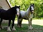 Guest house 522621 • Holiday property Twente • Vakantiehuisje in Enschede  • 7 of 11