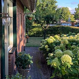 Gezellige zijtuin van Vakantiehuis in Oldenzaal, Twente, met bloeiende hortensia's en een uitnodigend pad.