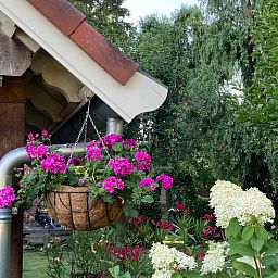 Hangende bloemenmanden en kleurrijke bloemen bij Vakantiehuis in Oldenzaal, een rustiek verblijf in Twente.