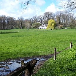 Blick auf die weiten Grasflaechen rund um das Ferienhaus in Oldenzaal, Twente, Overijssel.