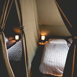 Verblijf 522919 - Tenthuis Twente - Luxe Lodgetent