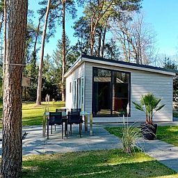 Guest house 522948 - Holiday property Twente - Boslodge De Mooie Plek