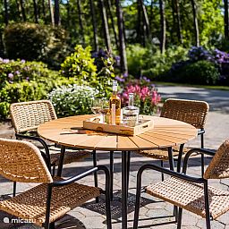 Verblijf 522959 - Vakantiewoning Twente - S010 - Stiena