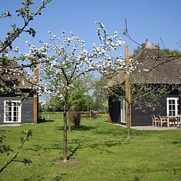 Bluehende Baeume im Ferienhaus in Enter, Twente, Overijssel, mit einladender Terrasse und gruener Umgebung.