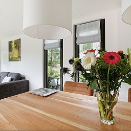 Guest house 523148 - Holiday property Twente - Boslodge + privé sauna en hottub