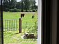 Guest house 523308 • Holiday property Twente • Vakantiehuis in Albergen  • 4 of 20