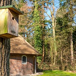 Guest house 523453 - Holiday property Twente - OV788