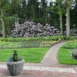 Unterkunft 523470 - Ferienhaus Twente - De Bosrand 55