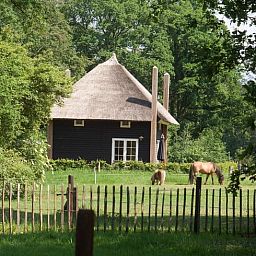 Huisje in Notter, vakantiehuis in Twente, omgeven door groene natuur en grazende paarden.