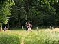 Unterkunft 523811 • Ferienhaus Twente • Vakantiehuisje in Losser  • 8 von 10