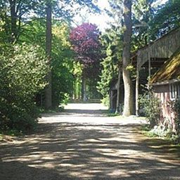 Shady surroundings at Cottage in Losser, vacation home in Twente, Overijssel. Enjoy walks in nature.