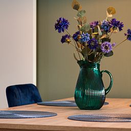 Unterkunft 523840 - Ferienhaus Twente - OV809