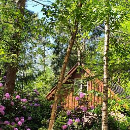 Ferienhaus mit Terrasse in der gruenen Umgebung von Huisje in Deurningen, Twente.