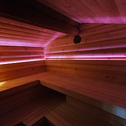 Gemuetliche Sauna im Ferienhaus in Deurningen, perfekt fuer Entspannung in Twente.