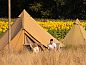 Guest house 524652 • Tent house Twente • Pop-up glamping: Buurvrouws' Belltentje | 2-6 personen  • 1 of 12
