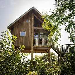 Unterkunft 524674 - Ferienhaus Twente - Boomhut