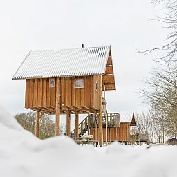 Unterkunft 524674 - Ferienhaus Twente - Boomhut