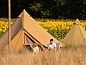 Guest house 524678 • Tent house Twente • Pop-up glamping: Buurvrouws' Belltentje 