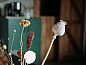 Guest house 525112 • Holiday property Twente • Vakantiehuisje in Buurse  • 10 of 26