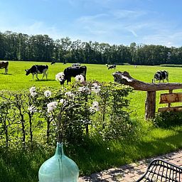 Uitzicht op grazende koeien vanuit Vakantiehuisje in Agelo, omgeven door de rustgevende natuur van Twente, Overijssel.