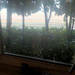 Panoramisch uitzicht op het landschap vanuit vakantiehuis in Vroomshoop, Twente.