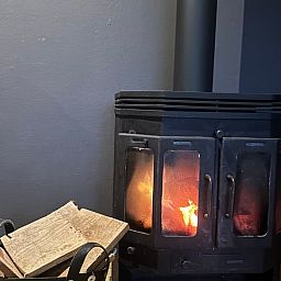 Gemuetliches Wohnzimmer im Ferienhaus in Goor, Twente, Overijssel, mit Weihnachtsbaum und gemuetlicher Sitzecke.