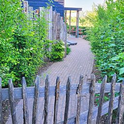 Sfeervol pad naar Vakantiehuisje in Bornerbroek, Twente, Overijssel omgeven door groene natuur.