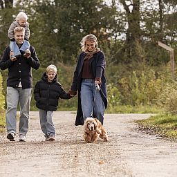 Unterkunft 526833 - Ferienhaus Twente - Vakantievilla Amalia 4 met sauna en hottub