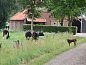 Verblijf 526901 • Vakantiewoning Twente • Vakantiehuisje in breklenkamp  • 2 van 26