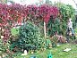 Guest house 527202 • Holiday property Twente • Huisje in Vriezenveen  • 11 of 26