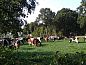 Guest house 527202 • Holiday property Twente • Huisje in Vriezenveen  • 12 of 26