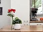 Unterkunft 5302110 • Bungalow Salland • Twenhaarsveld | 18-persoons reuniebungalow | 18C  • 7 von 16