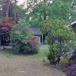 Schoener Blumengarten im Ferienhaus in Holten, gelegen in der gruenen Umgebung von Salland, Overijssel.