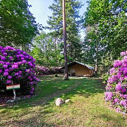 Unterkunft 5302160 - Zelthaus Salland - Romantic Safaritent met bad