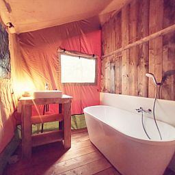 Guest house 5302166 - Tent house Salland - Glamping tent met bad