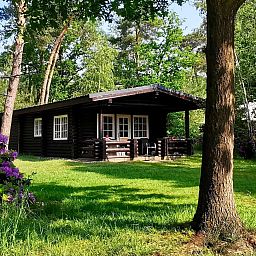 Unterkunft 5302170 - Ferienhaus Salland - Vakantiehuis Outdoors Holten - Family Lodge met bad & hottub
