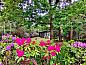 Guest house 530228 • Holiday property Salland • Huisje in Holten  • 11 of 16
