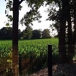 Geniet van het prachtige uitzicht op de groene velden vanuit Huisje in Holten, een vakantiehuis in het serene Salland, Overijssel.