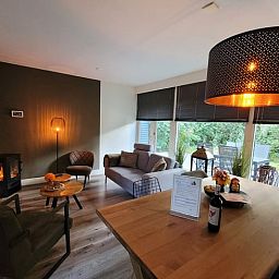 Gezellige woonkamer in Vakantiehuis in Holten, Salland, Overijssel met moderne inrichting en uitzicht op groene omgeving.