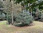 Guest house 530269 • Holiday property Salland • Vakantiehuis in Holten  • 7 of 26
