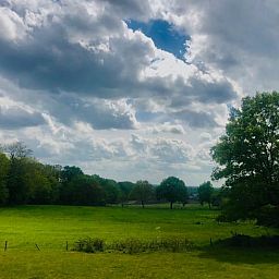 Unterkunft 530270 - Ferienhaus Salland - Vakantiehuisje in Holten