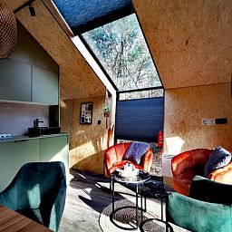 Gemuetlicher Innenbereich des Ferienhauses in Holten, Overijssel, mit moderner Einrichtung und natuerlichem Licht im Wohnzimmer.