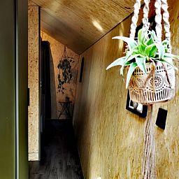 Gemuetlicher Innenbereich des Ferienhauses in Holten, gelegen in Salland, Overijssel, mit stimmungsvoller Dekoration und natuerlichen Elementen.