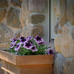 Unterkunft 530287 - Ferienhaus Salland - OV708