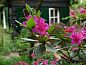 Guest house 530704 • Holiday property Salland • Vakantiehuisje in Bathmen  • 10 of 17