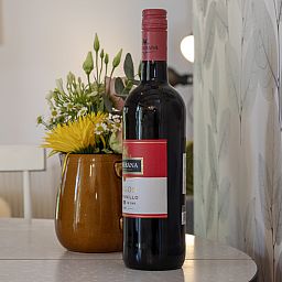 Gezellige woonkamer van OV529 vakantiehuis in Zwolle, Salland, met comfortabele bank.